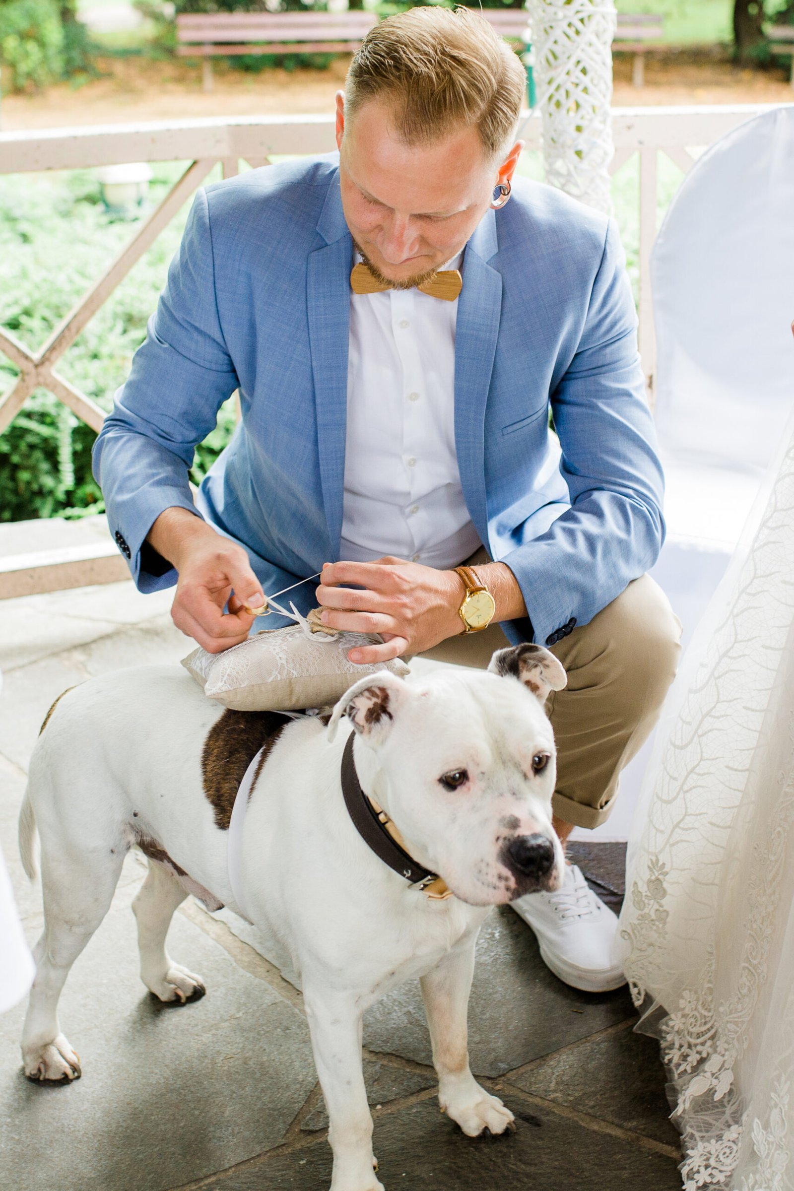 Der wohl süßeste Ringträger aller Zeiten. Der Bräutigam befestigt ein Ringkissen auf dem Rücken seines Hundes, der als Ringträger bei der Hochzeit mit Hund eine besondere Rolle übernimmt.